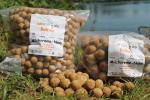 Milchcreme-Nuss Boilies 1 kg ab (7,49 Euro Grundpreis), siehe Staffelpreise